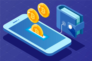 How to choose the best cryptocurrency wallet?