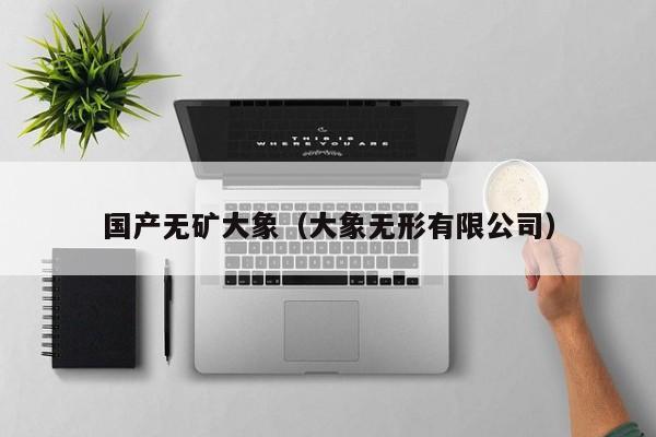 国产无矿大象（大象无形有限公司）