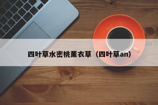 四叶草水密桃薰衣草（四叶草an）