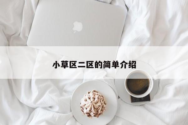 小草区二区的简单介绍