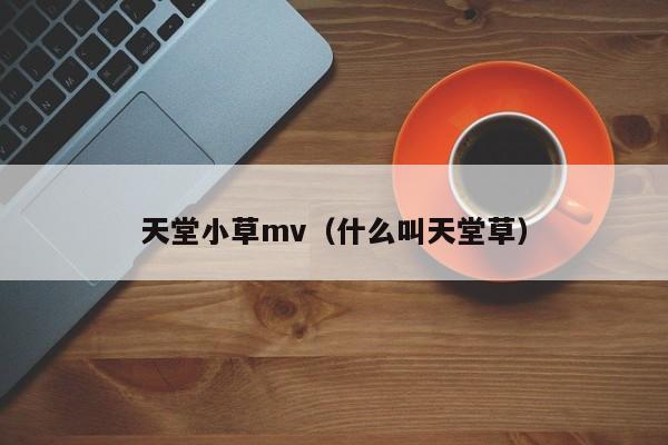 天堂小草mv(什么叫天堂草)